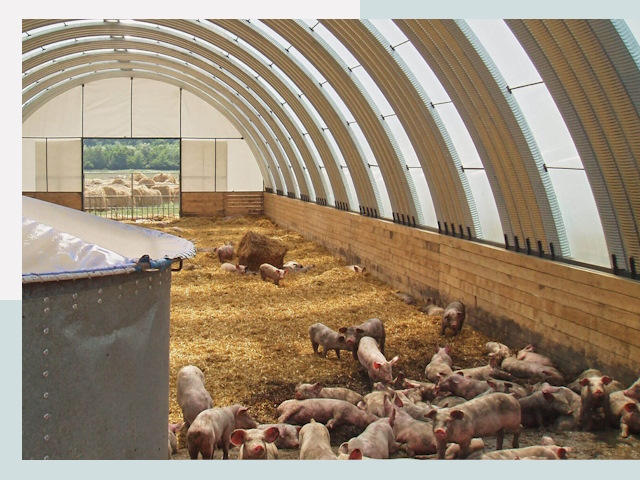 Строительство свинарников в Майкопе