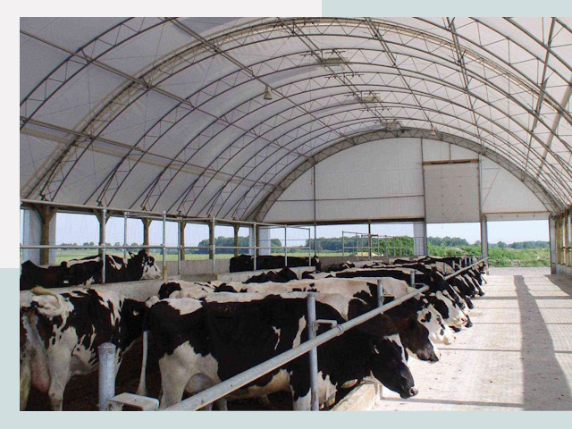 Тентовые коровники в Майкопе